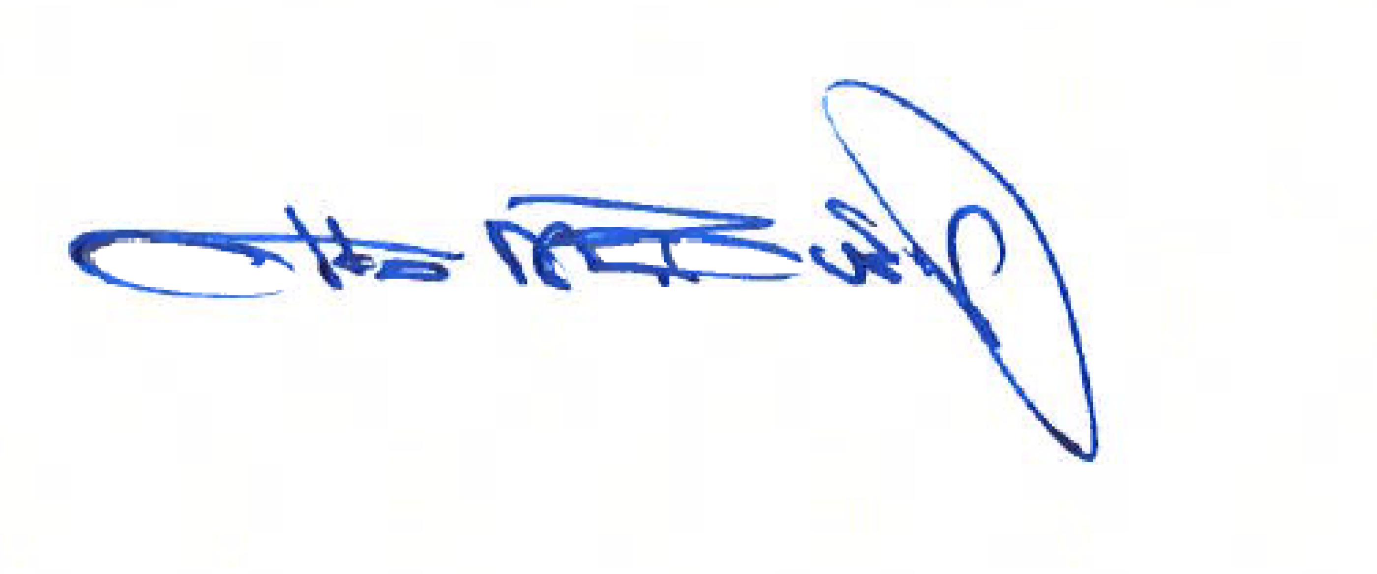 Otto Signature