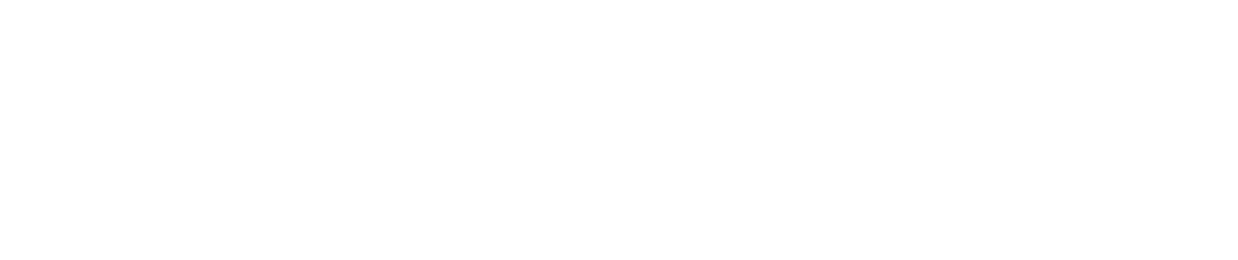 Self Park Type Lock Up1