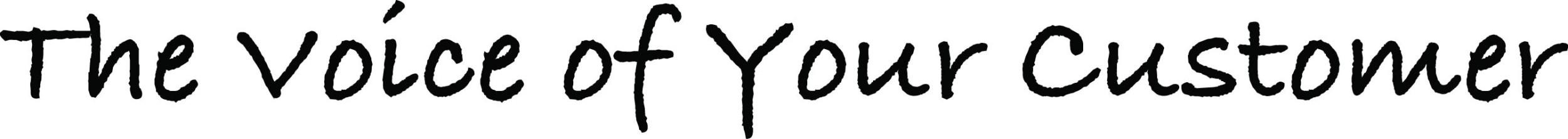 Voyc White Logo Outlined Black